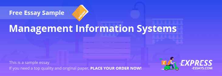 Free «Management Information Systems» Essay Sample