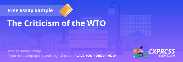 Free «The Criticism of the WTO» Essay Sample