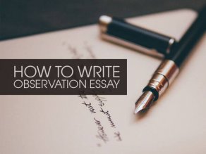 Observation Essay